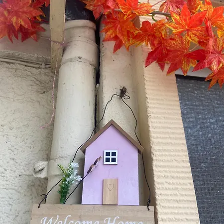 Apartment Mini *