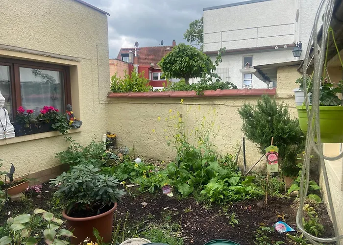 Mini 1 アパート マインツ