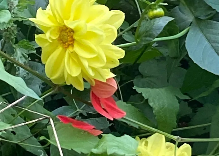 アパート Mini 1 マインツ